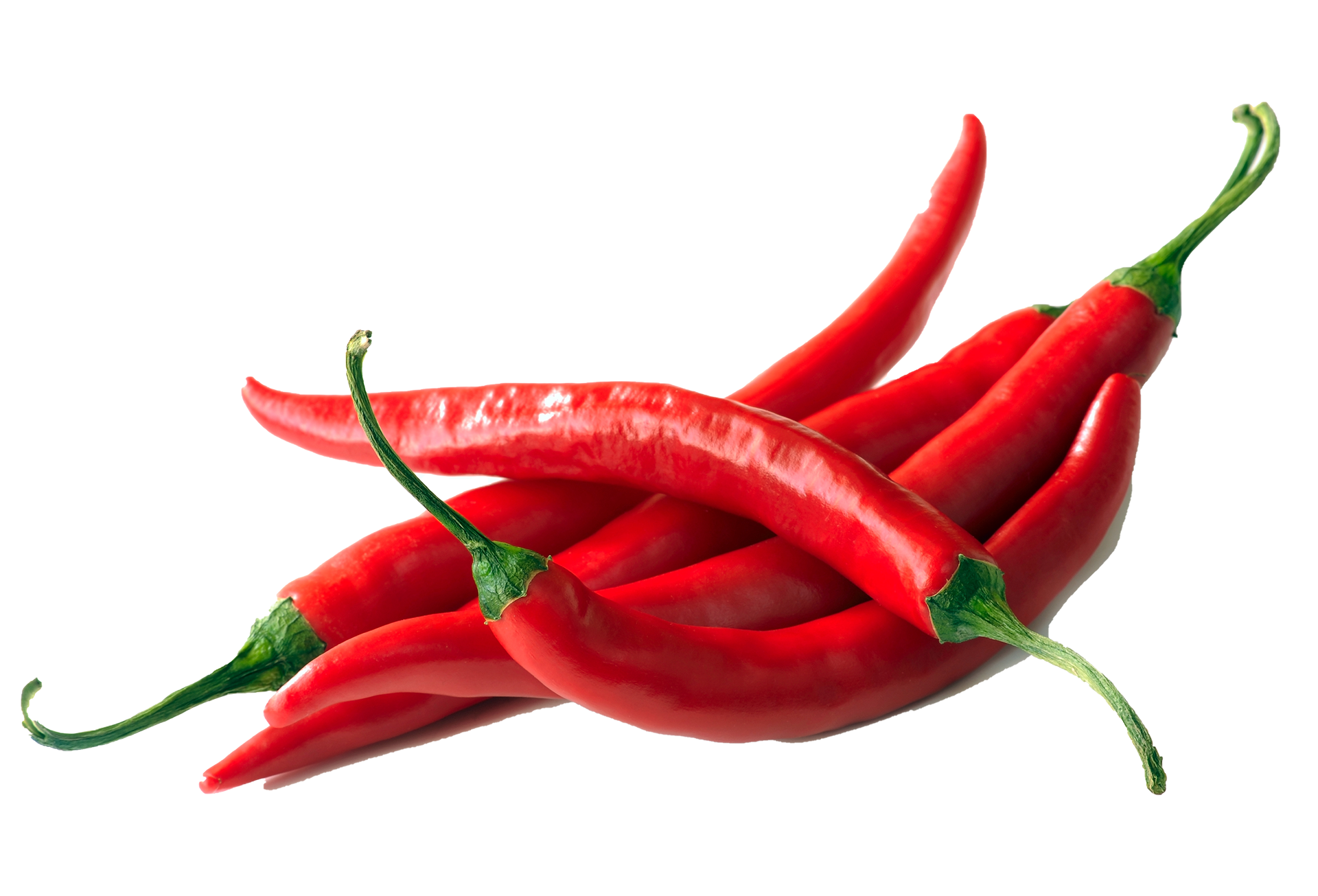 red hot chili pepper on a white background